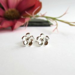 Fine Silver Forget Me Not Flower Stud Earrings ~ Handmade by The Tiny Tree Frog Jewellery