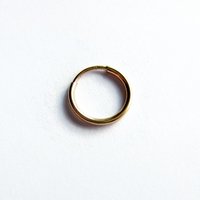 Single 12mm 14K Gold Filled Huggie Hoop Earring ~ The Tiny Tree Frog Jewellery