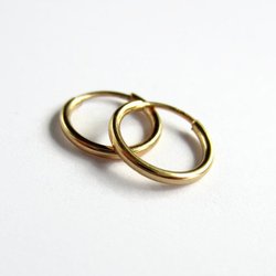 Single or Pair of Small 12mm 14K Gold Filled Huggie Hoop Earrings ~ The Tiny Tree Frog Jewellery