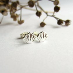 Tiny Fine Silver Seashell Stud Earrings ~ Handmade by The Tiny Tree Frog Jewellery